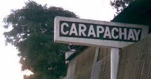 descarga - 2022-12-08T115159.565