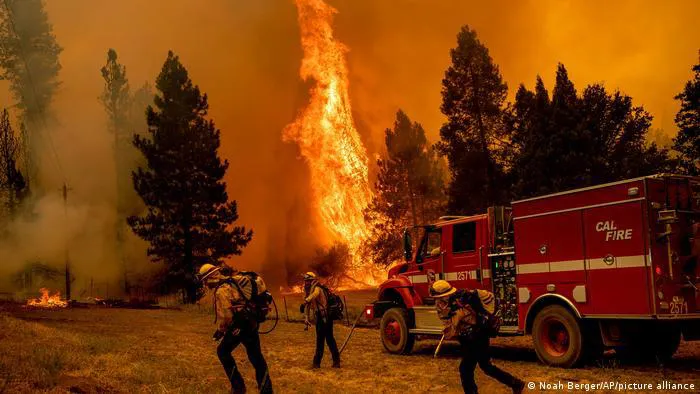 incendiooakusa