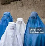 images - 2026-08-23T204109.253