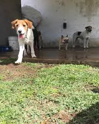 images - 2025-09-26T114625.407