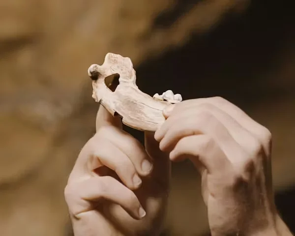 file-20260325-57-kzyfyk