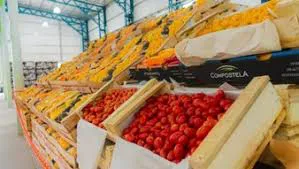 images - 2025-12-22T104823.450