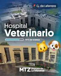 images - 2026-01-28T185942.359