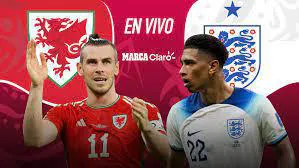 descarga - 2022-11-29T211918.438