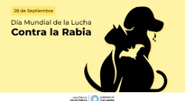 descarga (24)