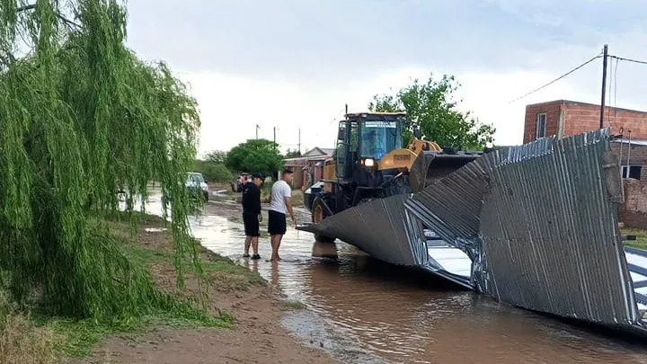 Imagen de WhatsApp 2024-11-09 a las 17.41.48_63ca0670