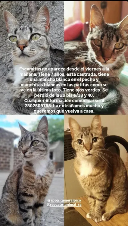 Screenshot_20250220_132850_Instagram