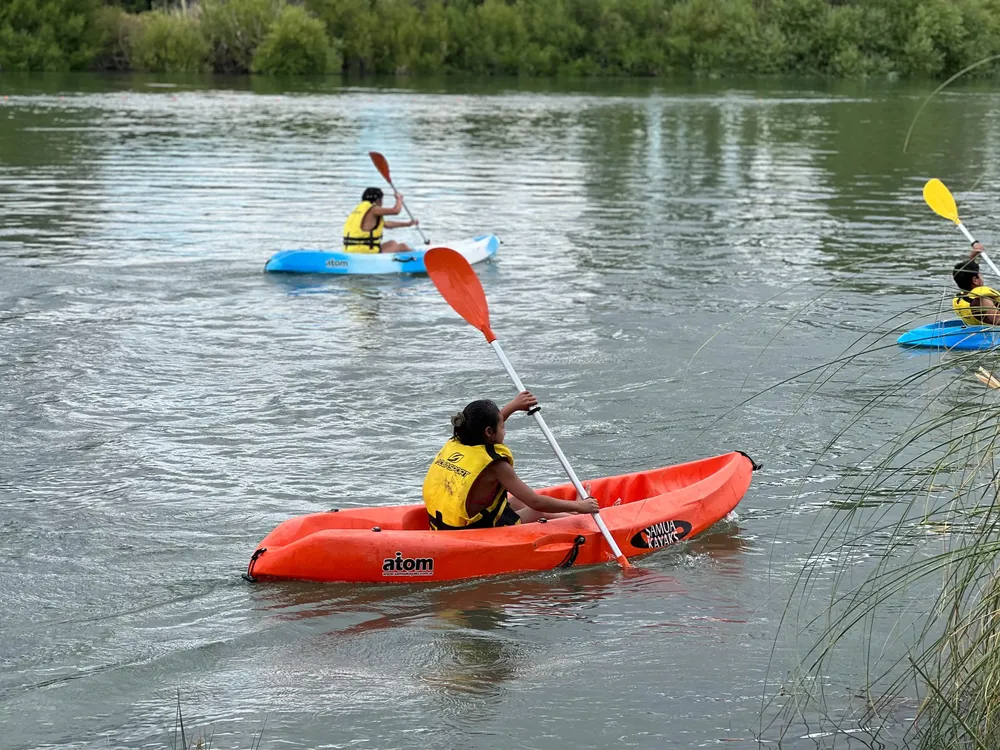 Galería APN - 2024-12-15T102355.261