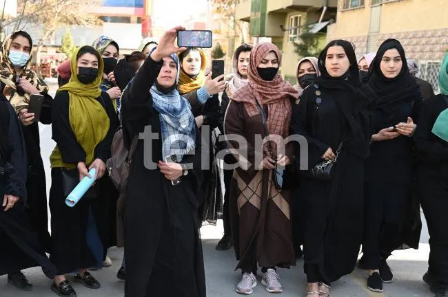 tn_7198a78932ce2e326857121190799bb2_650x432