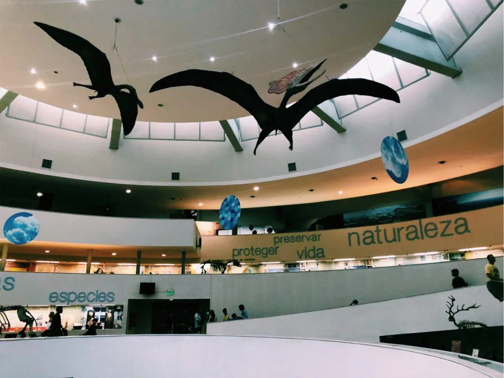 museocordobahoyuno
