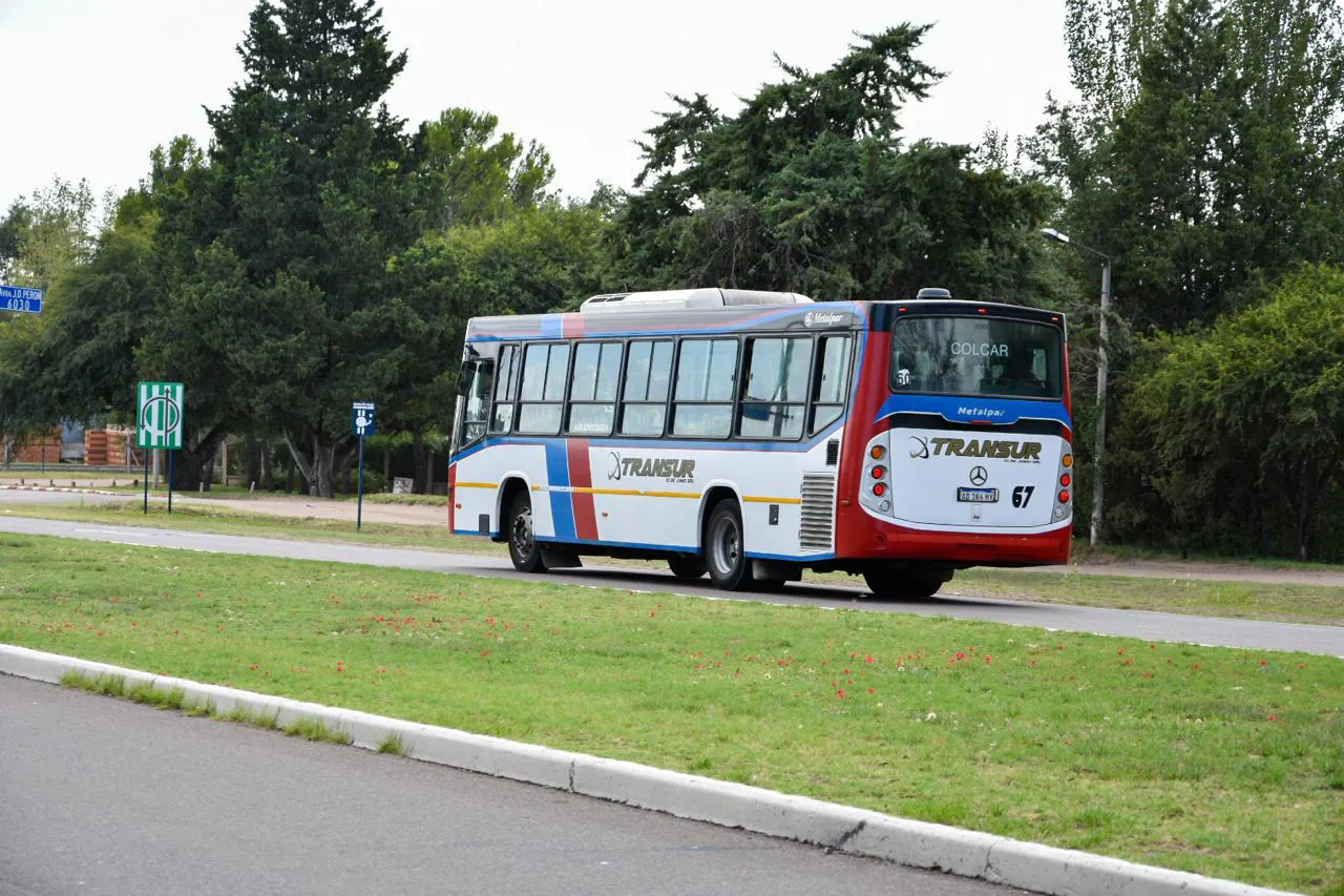 Galería APN - 2026-01-24T203338.430