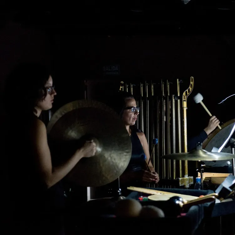 Percusionista Banda Sinfónica