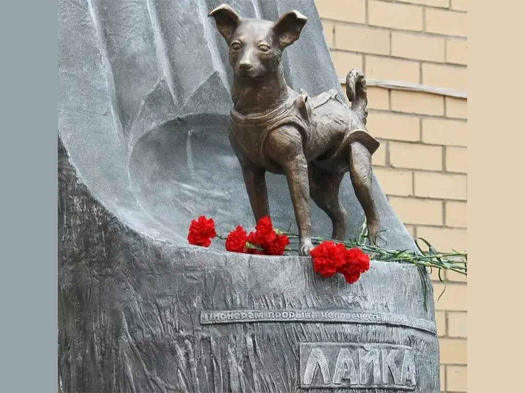 Perra-Laika-1