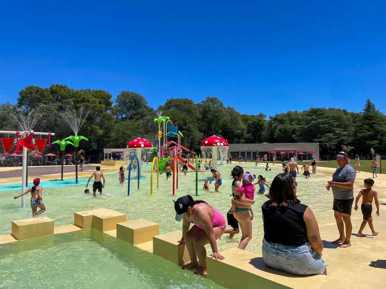 Galería APN - 2024-12-15T102333.186