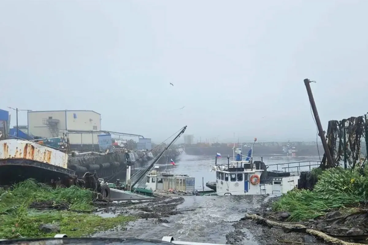 Web_terremoto-tsunami-Pacifico