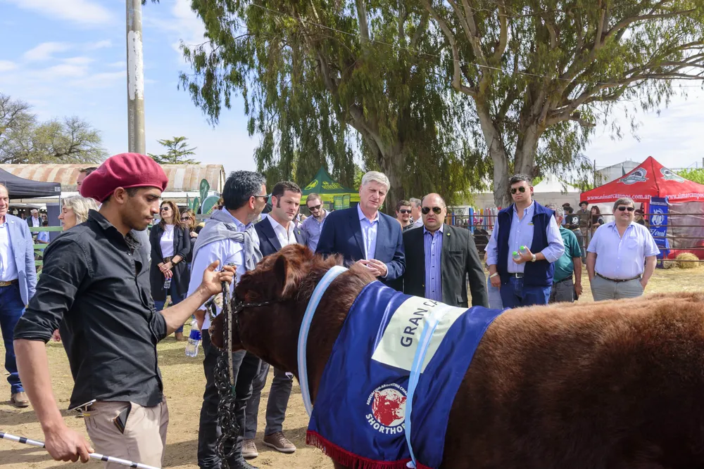 Galería APN - 2024-09-29T182528.090