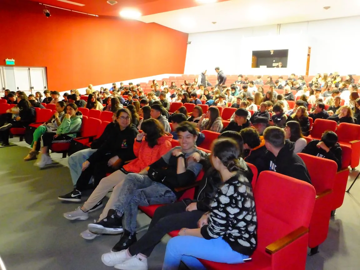 elmedanogeneralpicodos