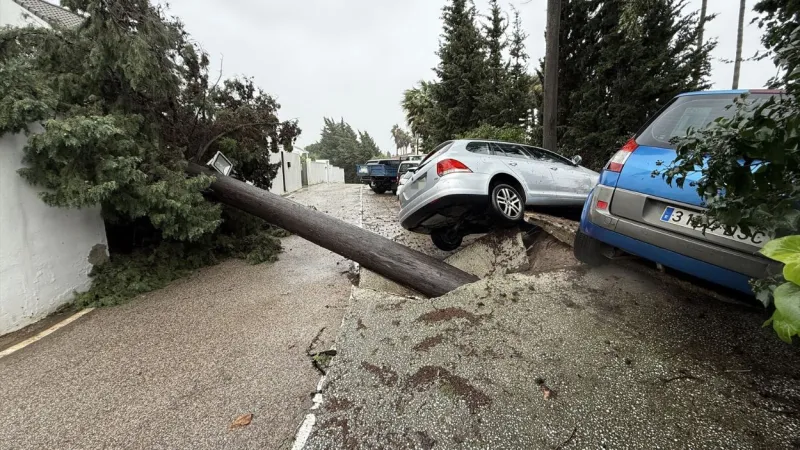 imagen-arbol-caido-coches-afectados-paso-borrasca-leonardo-localidad_4_800x450