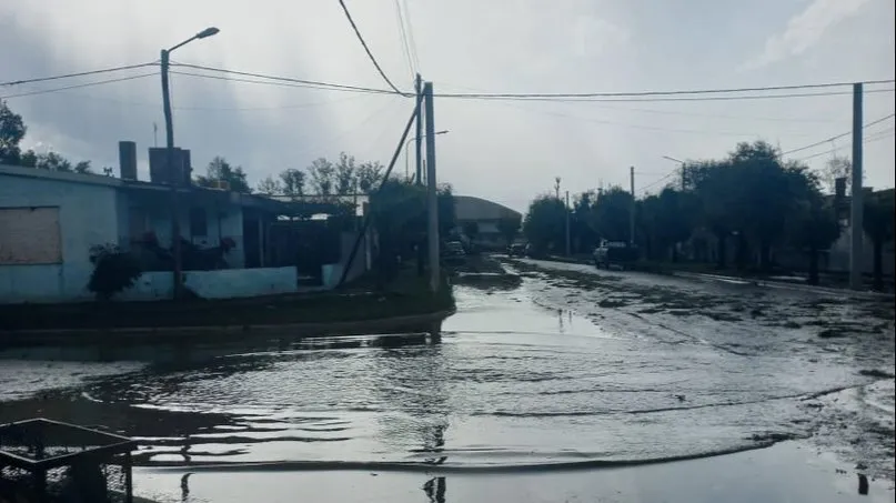 Imagen de WhatsApp 2024-11-09 a las 18.28.54_b71cb2d0