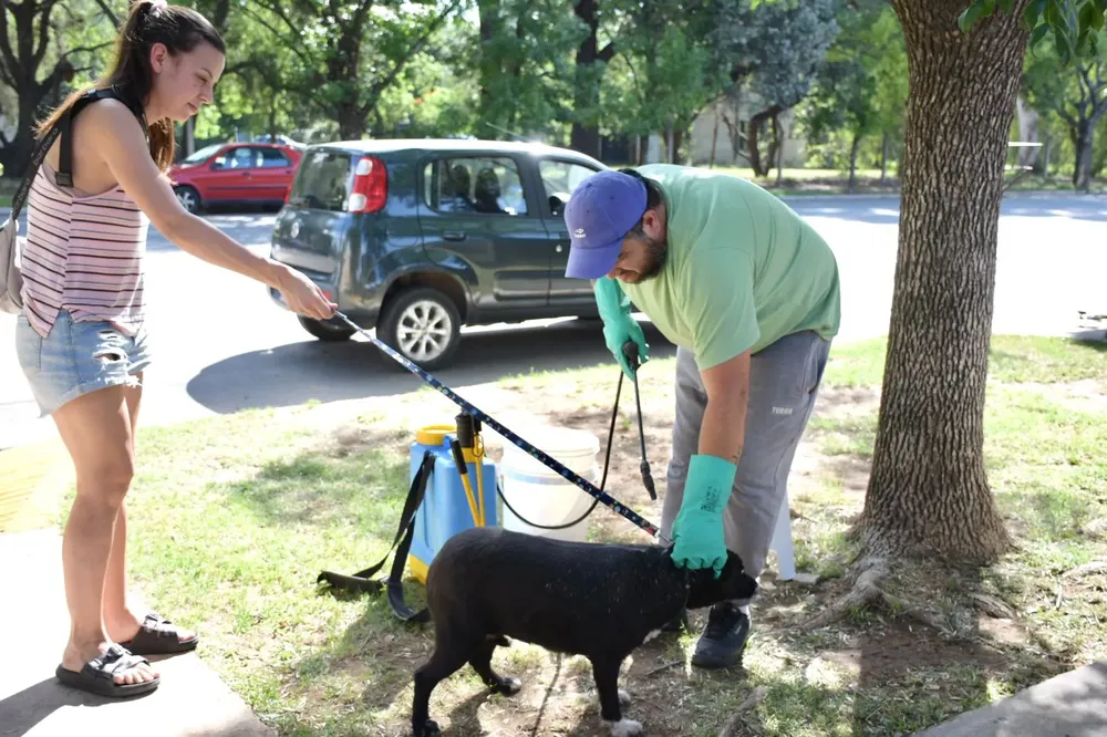 Campaña garrapata (1)