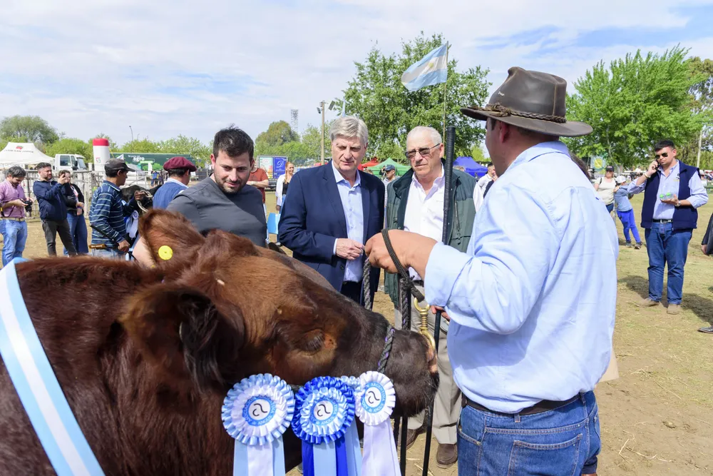 Galería APN - 2024-09-29T182506.416