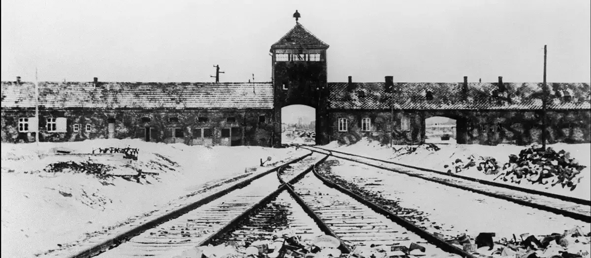 birkenauuno