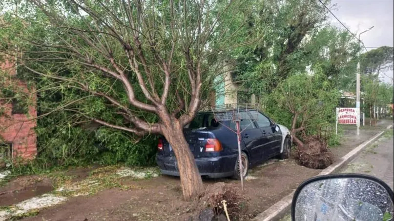 Santa Isabel temporal 1