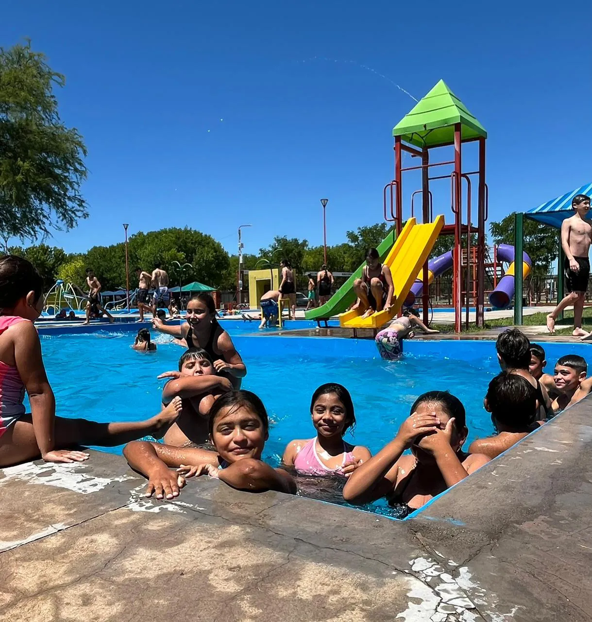 Galería APN - 2024-12-15T102408.175