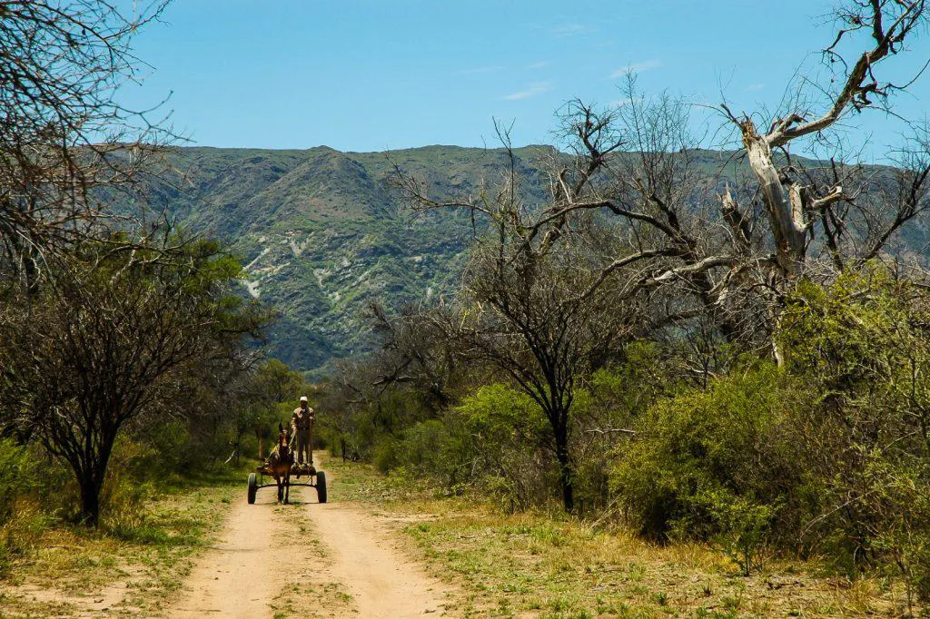 serviciosambientales