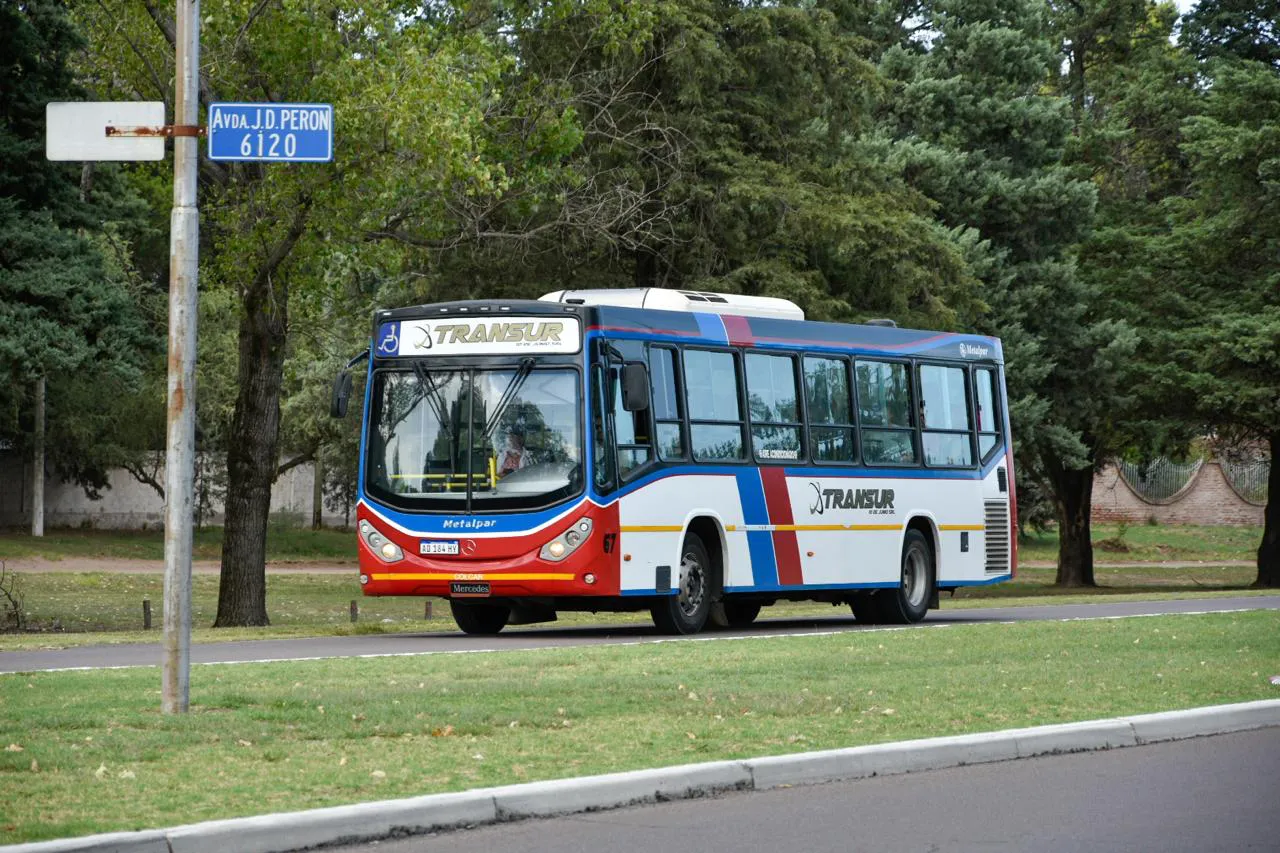 Galería APN - 2026-01-24T203343.102