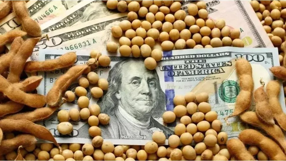 dolar_agro2_x1x_1.jpg_966076397