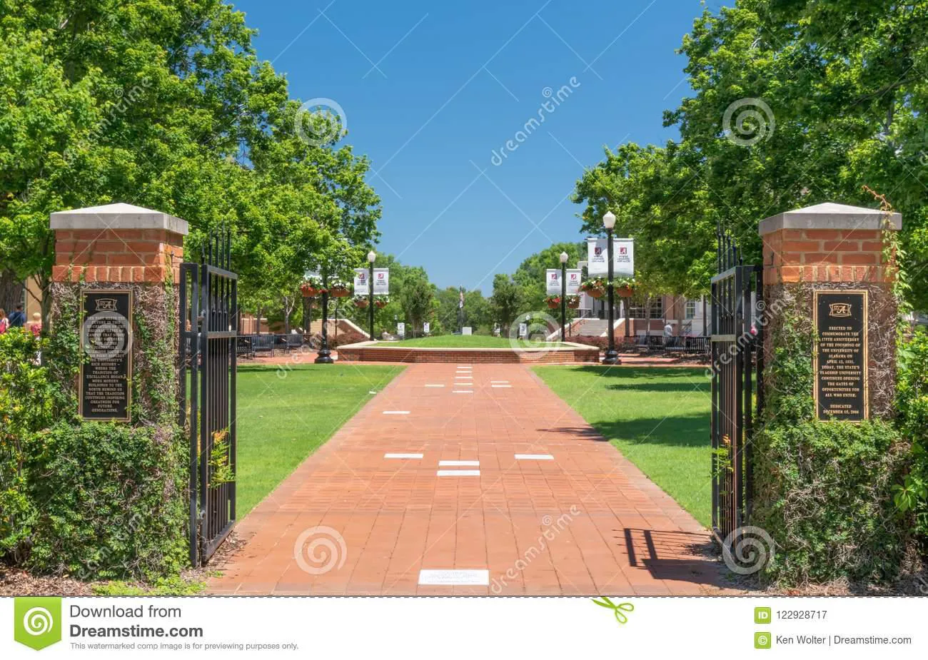 transplanteusacuatro