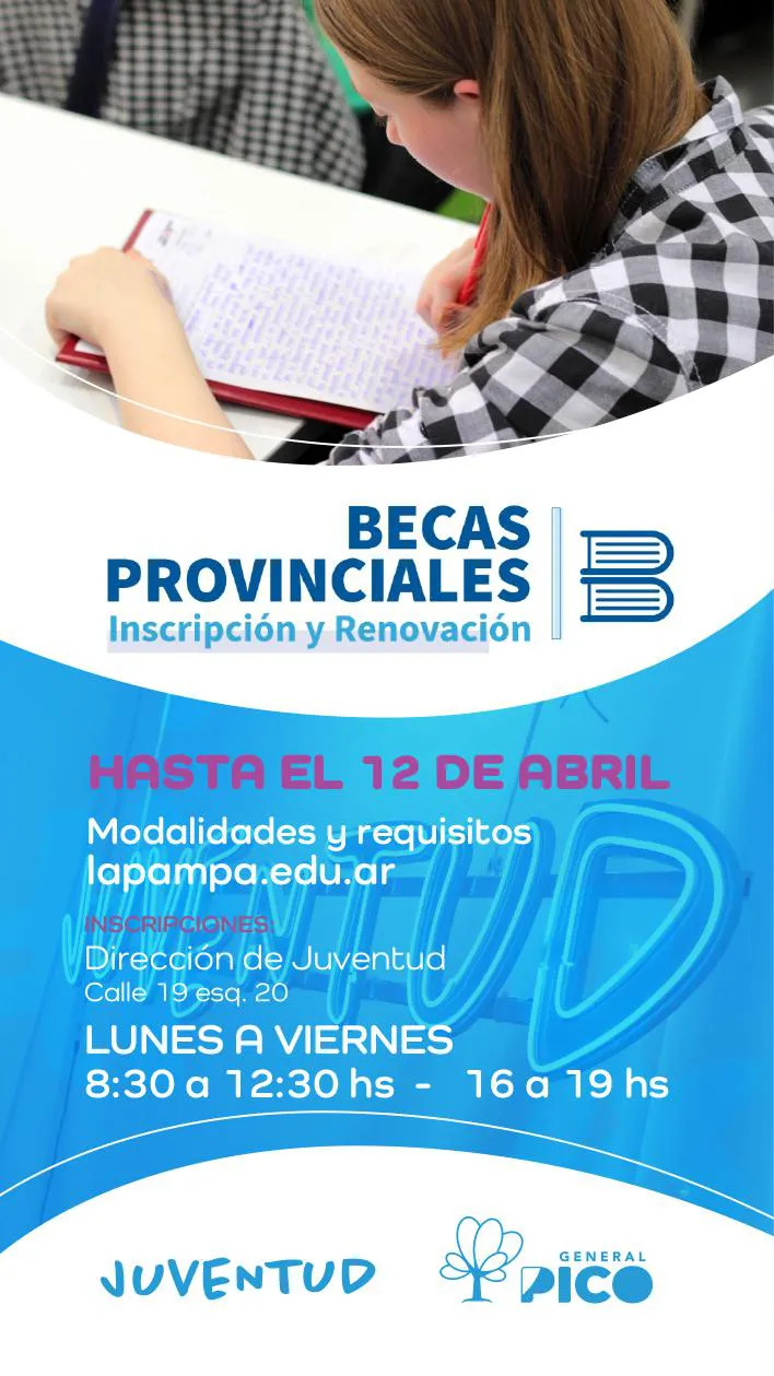 Flyer Becas Provinciales (1)