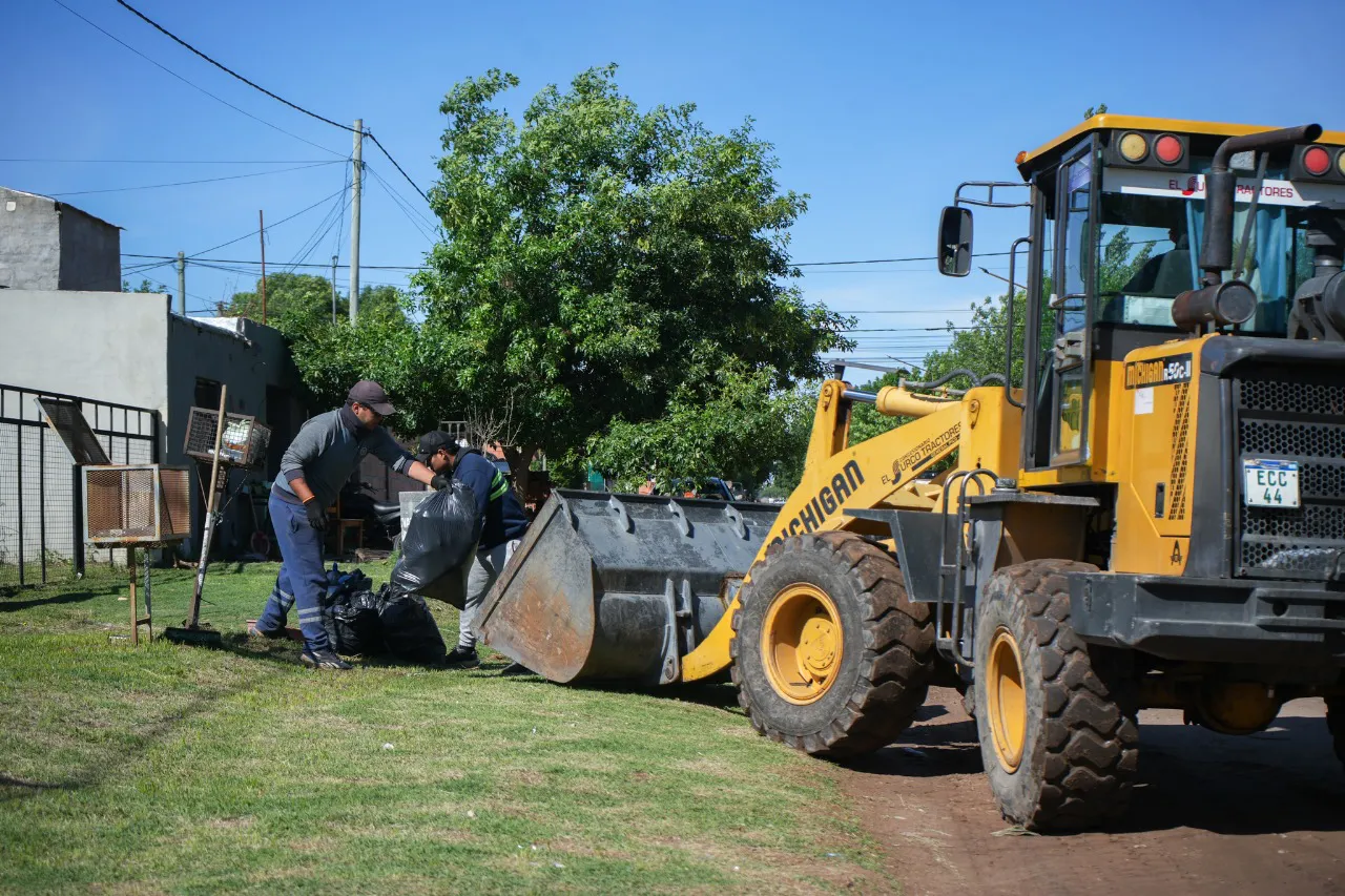 Recolección especial 6