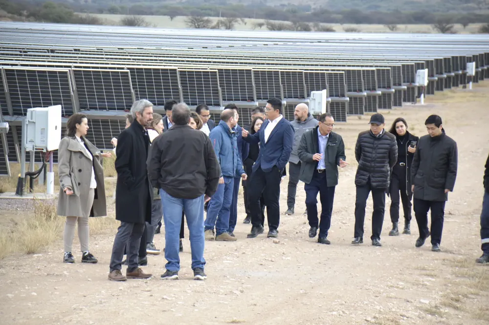 Galería APN - 2025-01-24T203444.180