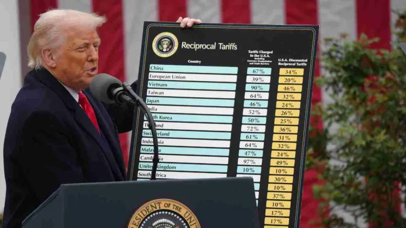 diseno-sin-titulo-3_4_800x450