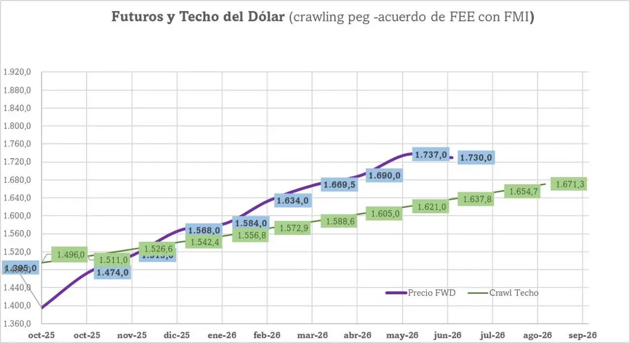 WhatsApp Image 2025-10-14 at 6.51.26 PM