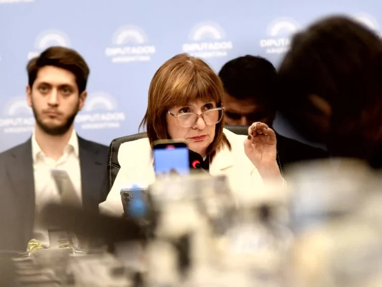 La-senadora-Patricia-Bullrich-750x563-optimized