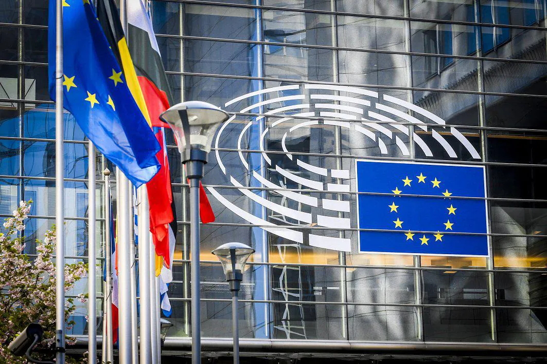 bruselas