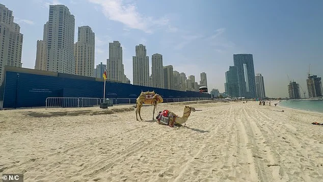 107102965-15642511-image-a-15_1773396891404-convertido-de-avif